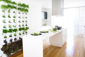 Minigarden Funktionsweise Wandgarten Zimmerkrauter Wandbegrunung