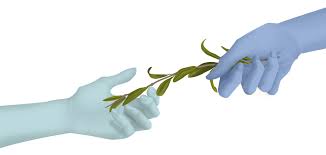 Creative Entrepreneurship Crystalpulse Creative Entrepreneurship Olive Branch Photoshop