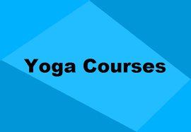 Maybe you would like to learn more about one of these? Yoga Courses In India Ug Pg Programs After 12th Graduation