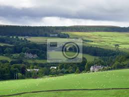 Choose from 143 hostels in england and read 294345 customer reviews. Englische Landschaft Ackerland In Der Grafschaft Durham England Fototapete Fototapeten Myloview De