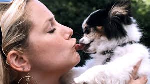Fact or Myth: A dog's mouth is cleaner than a human's mouth