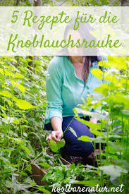 5 Rezepte Die Mit Knoblauchsrauke Noch Besser Schmecken Knoblauchsrauke Gewurze Und Krauter Krauterpflanzen