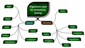 We did not find results for: Environmental Toxicology Wikipedia