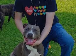 Dylan Wayne Nicely's Memorial Website