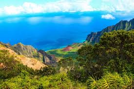 We did not find results for: Jurassic Park In Hawaii Exploring The Real Dinosaurs Of Kauaithe Fairytale Traveler
