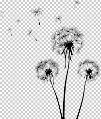 Drawing Dandelion Png Art Black Computer Wallpaper Dandelion Flower Flower Dandelion Art Dandelion Drawing Drawings