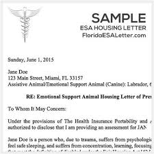 I write emotional support animal letters somewhat frequently. Sample Letter For Therapy Support Animal Service Dog Doctor Letter Template Collection Letter Animals Can Play A Very Important Role Assisting People With Disabilities And As Part Of