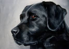 Black And Tan Labrador For Sale Back In Black Original Oil Of A Black Labrador Retriever By Artist Anne Zoutsos On Dailypainters Com Labrador Retriever Art Black Labrador Retriever Dog Paintings