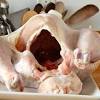 Home ndoema's top 5 my top 5 thanksgiving raw vegan dessert recipes. 1