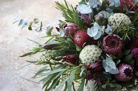 Tasmanian weather in 5 words or less? Swallows Nest Farm March Flowers