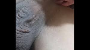 لحس ومص الطيز - XNXX.COM