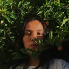 Aprenda a fazer peixe na folha de bananeira com pimenta brasileira