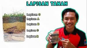Lapisan tanah bawah bercirikan bahan organik yang jauh lebih sedikit dibanding tanah permukaan. Tahun 3 Sains Tanah Liat Tanah Berpasir Atau Tanah Kebun Youtube Cute766