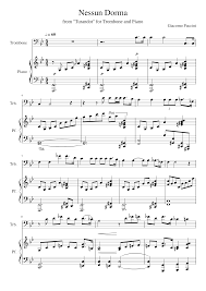 It is sung by calaf, il principe ignoto (the unknown prince). Nessun Dorma Trombone And Piano Sheet Music For Piano Trombone Solo Musescore Com