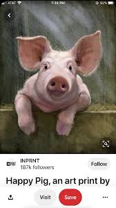 Pin By Kathleen Wielgosz On Art Happy Pig Art Art Prints