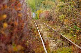 Enter your dates and choose from 144 hotels and other places to stay. Tunelul Dragostei Din CaraÈ™ Severin Planiada