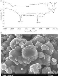 Bellworth development sdn bhd is known for some of the most luxurious and exclusive properties in malaysia. Magnetic Nanoparticles Assisted Dispersive Liquid Liquid Microextraction Of Chloramphenicol In Water Samples Royal Society Open Science