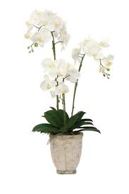 Jambangan bunga orkid tersebut nampak begitu segar berbunga, sekali gus cantik 'meletop' dan cukup berseri terlihat. 23 Gubahan Orkid Ideas Gubahan Bunga Kraf Perkahwinan