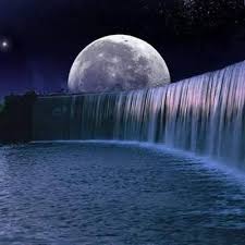 We did not find results for: Beautiful Nature World Nature World1 Twitter