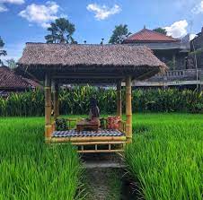 Kami menyajikan informasi terkait lukisan pemandangan di tepi sawah padi. Rekomendasi 11 Restoran Tepi Sawah Di Bali Yang Punya Pemandangan Spektakuler Bukareview