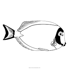 This picture is very appealing and visually stunning. Tropical Fish Coloring Page Ultra Coloring Pages