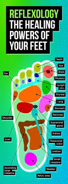 Reflexology Foot Map The Healing Powers Of Your Feet