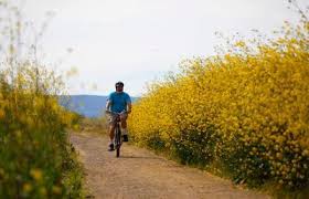 More images for alviso marina county park » Wanderlust Biking The Salt Ponds Of Alviso The Mercury News