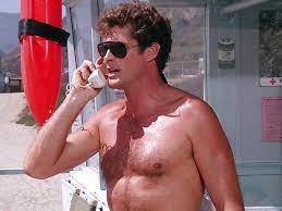 David hasselhoff, jeremy jackson, michael newman aka(s): Then And Now What The Cast Of Baywatch Is Doing Today