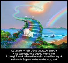  35 Bunnies At Rainbow Bridge Ideas In 2021 Rainbow Bridge Pet Loss Grief Dog Poems