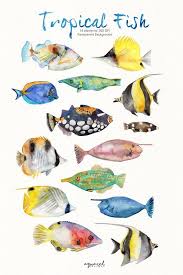 Watercolor Tropical Fish Clipart Colorful Fish Clipart Reef Fish Sea Clipart Instant Download In 2020 Watercolor Fish Fish Clipart Fish Painting