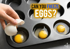 You'll need a bowl, ice cube trays, a beater, and, of course, your eggs. Can You Freeze Eggs Boiled Scrambled Kitchensanity