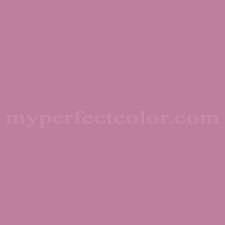 Dutch Standard T43 6 Mauve Rose Precisely Matched For Paint And Spray Paint