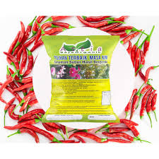 Cara buat baja organik guna belacan/terasi supaya pokok cili subur. Baja Cili Lada Cabai Attia Baja Organik Chilies Organic Fertilizer Attia 1kg Pek Borong Wholesale Shopee Malaysia