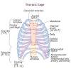 This article contains netter's anatomy coloring book 2nd edition pdf for free download. 1