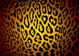 See more ideas about prints, animal print, animal print wallpaper. Leopard Print Wallpapers Top Free Leopard Print Backgrounds Wallpaperaccess
