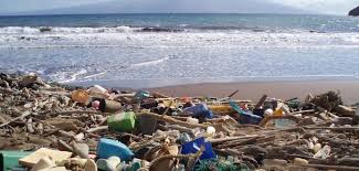 Ocean Pollution National Oceanic And Atmospheric Administration Lethal effects of ocean pollution. ocean pollution national oceanic and