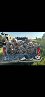 Sterling/Rock Falls/Dixon Spring Cleaning Exchange