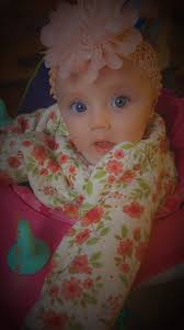 Free pet friendly items in Petoskey