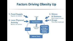 Ultimately, body weight is the result of genetics, metabolism what is the role of physical activity and exercise in obesity? Obesity Causes Factors For Obesity Best Obesity Care Mumbai India