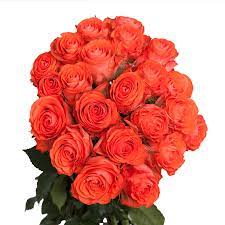 2019's pantone color 'living coral' can undoubtedly brighten any environment. Coral Colored Roses Show Girl Rose Variety Globalrose