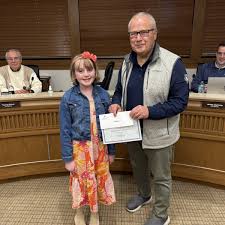 Palmer Named New Peotone Administrator - The Vedette