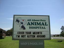 Veterinary care on the upper east side. All About Pets Animal Hospital Photos Facebook
