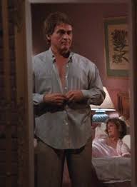 Daniel Davis in Scarecrow and Mrs. King 1985