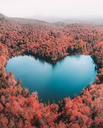 I Love You Too Nature Quebec Canada Photo By Kamvachon Heart In Nature Amazing Nature Pictures