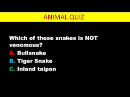 Multiple choice questions quiz which has been attempted 35461 times by avid quiz takers. Video Animal Trivia