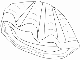 These clam pictures are online coloring pages that can be colored with color gradients and patterns. Coloring Clam Picture