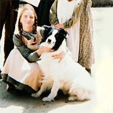 Mr famous and audrey hepburn. Best Images Of Famous Dogs With Descriptions And Links