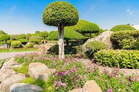 Gute tipps, was sie beim einpflanzen des baums beachten müssen. Garten Und Landschaftsbau Mit Dekorativen Baume Und Pflanzen Lizenzfreie Fotos Bilder Und Stock Fotografie Image 50273283