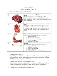 Organs in the body and their functions. Brain Pdf Human Body Arm