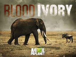 New release dates episodes blood ivory. Blood Ivory Tv Mini Series 2017 Imdb